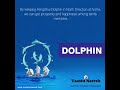Fengshui dolphin in north direction-Vaastu Tips