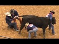 Wild Cow Milking - 2018 WRCA World Championship Ranch Rodeo