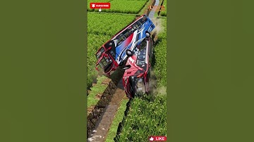 Bus Crashes in the Middle of Rice Field #shorts #youtubeshorts #viral #trending #shortvideo