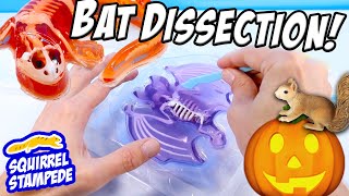 Dissect It Synthetic Dissection Kit Review - We Dissected a Bat and Salamander! screenshot 3