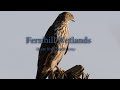 We need more Fernhill      Panasonic GH5