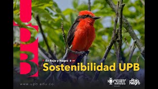 Sostenibilidad UPB -En Rojo y Negro by UPB Colombia 111 views 2 weeks ago 24 minutes