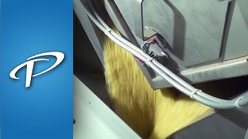 Bagging Scale | Net Weigh Scale for rice (E-55 Series)