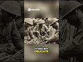 The 30 06 Springfield A Practical War Machine #militaryhistory #history #wwiihistory #ww2 #film