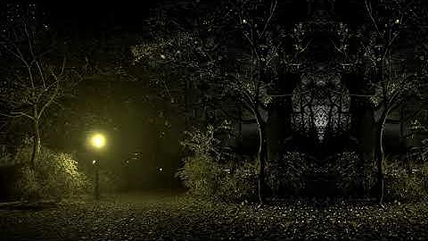 No Copyright Videos | Motion Graphics | Background | Animation | Video Clips // Night // Garden