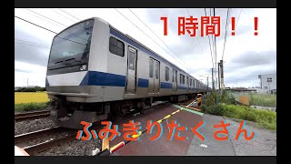 【踏切】４K ふみきりたくさん　JR　Japan train video railway crossing railroad kids 子供　電車　通勤電車　常磐線　東海道線　京浜東北線