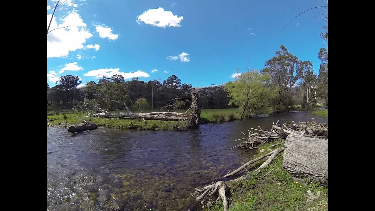 fly fishing melbourne III YouTube