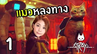 แมวหลงทางกับโลกที่ไม่มีมนุษย์อีกต่อไป #1 | Stray