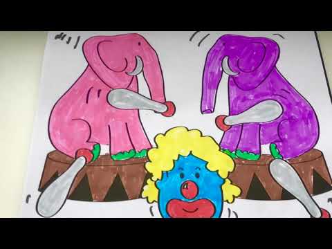 horse aut the cage  happy horse fun kids  show  colors