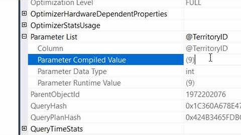 What is Parameter Sniffing and Data Skew?
