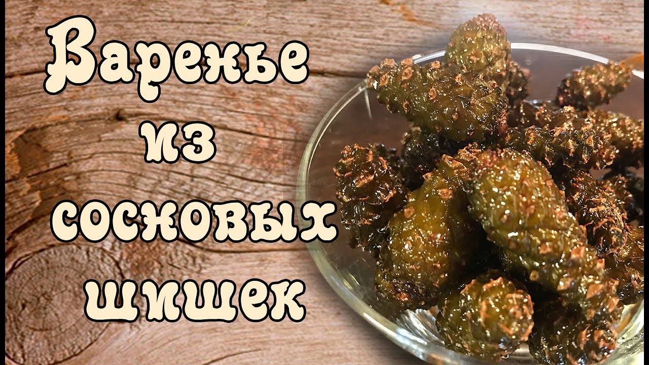 Как приготовить варенье из еловых шишек Как приготовить варенье из еловых шишек