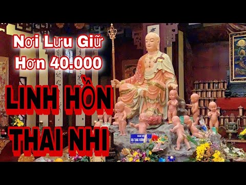 Video Chùa Từ Quang Bình Chánh Và Những Câu Chuyện Ly Kỳ... - youtube