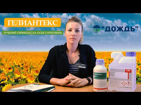 Video: Çfarë herbicid vret Speedwell?