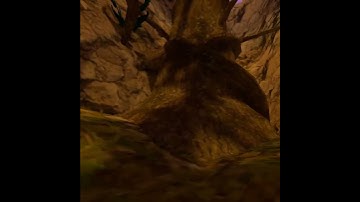 Checking my fan code day 1