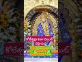 కోటేశ్వర్లు కుడా వెయిట్ చెస్టారు #trending #shiridi free meals#shorts #viral #trend #low budget trip