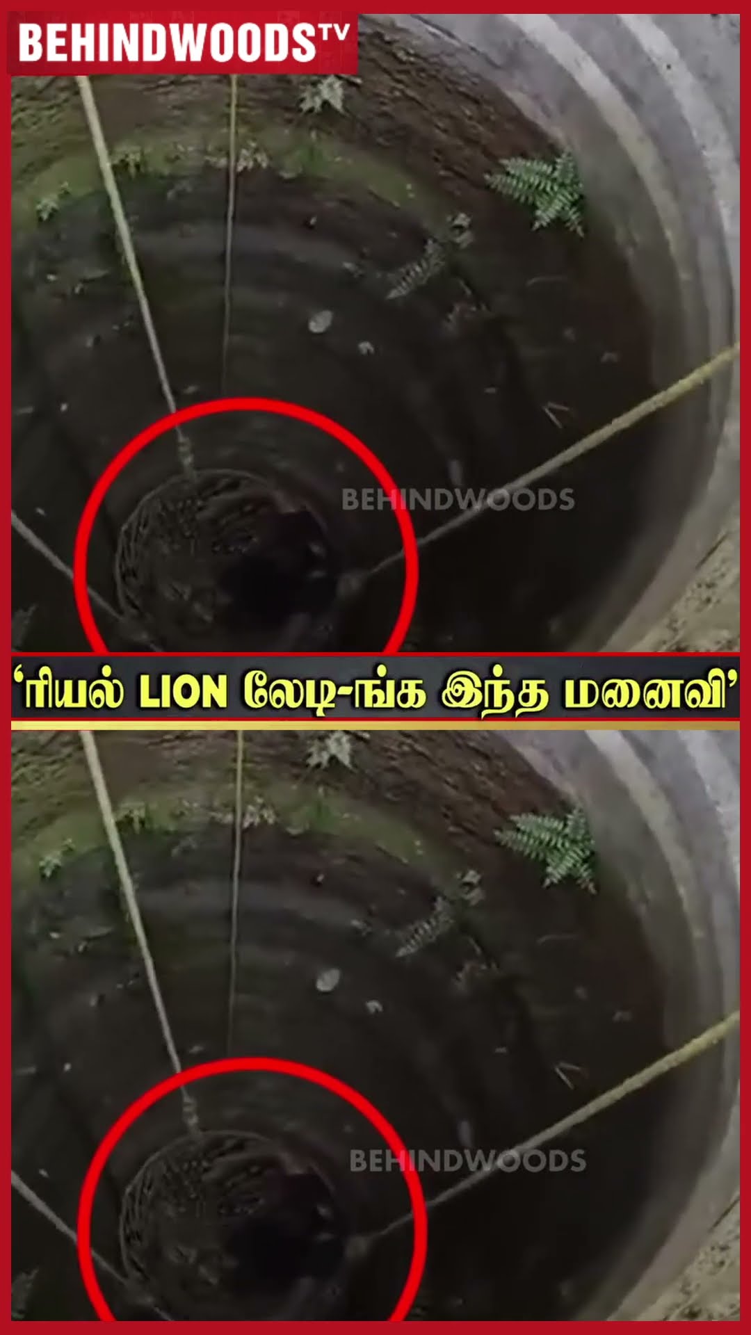 அக்கா?? Real இரும்பு மனுஷி..❤️ சிலிர்க்க வைத்த Lady