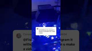 How to setup Nicrew Navareef light without a controller #fishkeeping