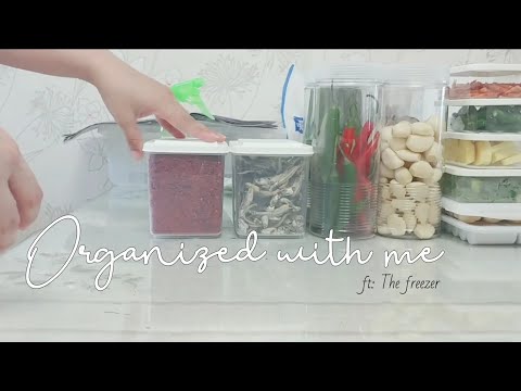 [ Vlog ] Organized with me (ft. Freezer) 다이소 정리.수납 밀폐용기로 냉동실 정리함 | 식재료 보관
