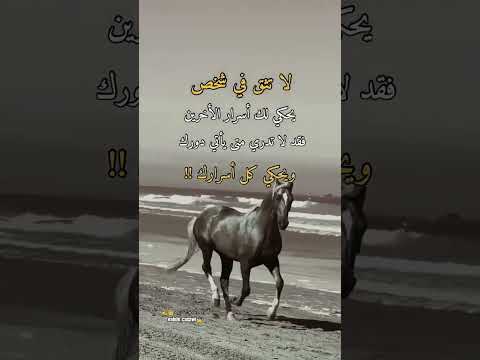 اقوال وحكم الشايب   كلام من ذهب  عبارات  ستوريات اقتباسات ابلور