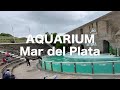 Aquarium Mar del Plata | Buenos Aires | 2021