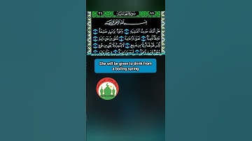 سورة الغاشية _ الصفحة ٥٩٢.. الحزب ٦٠ الجزء ۳۰ بصوت الشيخ مجدي البلتاجي برواية ابن دكوان عن ابن عامر#