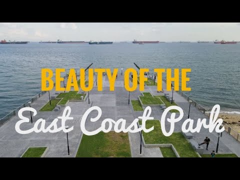 Why you must visit East Coast Park 