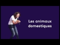 Korine ct   capsule radio  les animaux domestiques