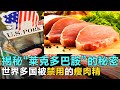 揭秘“萊克多巴胺”的秘密，美國使用瘦肉精真的是因為美國人不吃豬內臟嗎？它為什麽在世界多國被禁用，而台灣卻批准進口