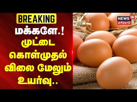 JUST NOW | Egg Procurement Price Hiked Again.. | Egg Price Hike | News18Tamilnadu