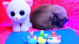 ПОТЕРЯННЫЕ КОТЯТА LOST KITTIES / Браслет игрушка TWISTY PETZ КОТ И СОБАКА /Распаковка СЮРПРИЗ БОКС ПОТЕРЯННЫЕ КОТЯТА LOST KITTIES / Браслет игрушка TWISTY PETZ КОТ И СОБАКА /Распаковка СЮРПРИЗ БОКС