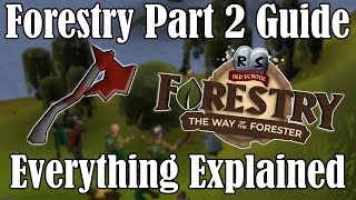 Forestry Part 2 is HERE - Everything You Need to Know (New Events, Rewards + MORE)