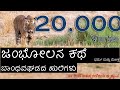    story of jambhol  tigers of bandhavgarh  kannada documentary with english subtitles