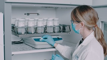 DNA metabarcoding for biodiversity monitoring