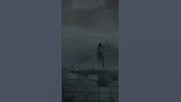 How The SotC Video Is Going In A Nutshell