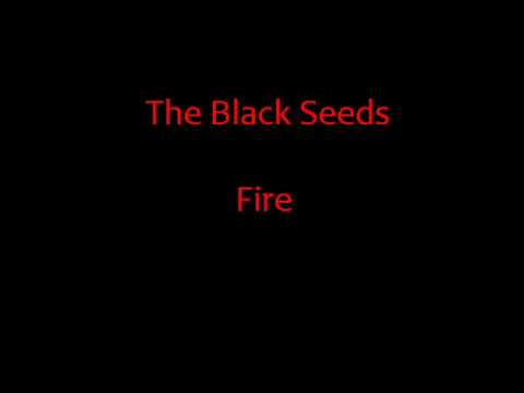 The Black Seeds - Fire