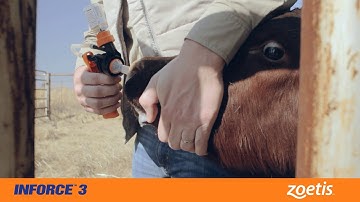 Zoetis Inforce 3 How-To English