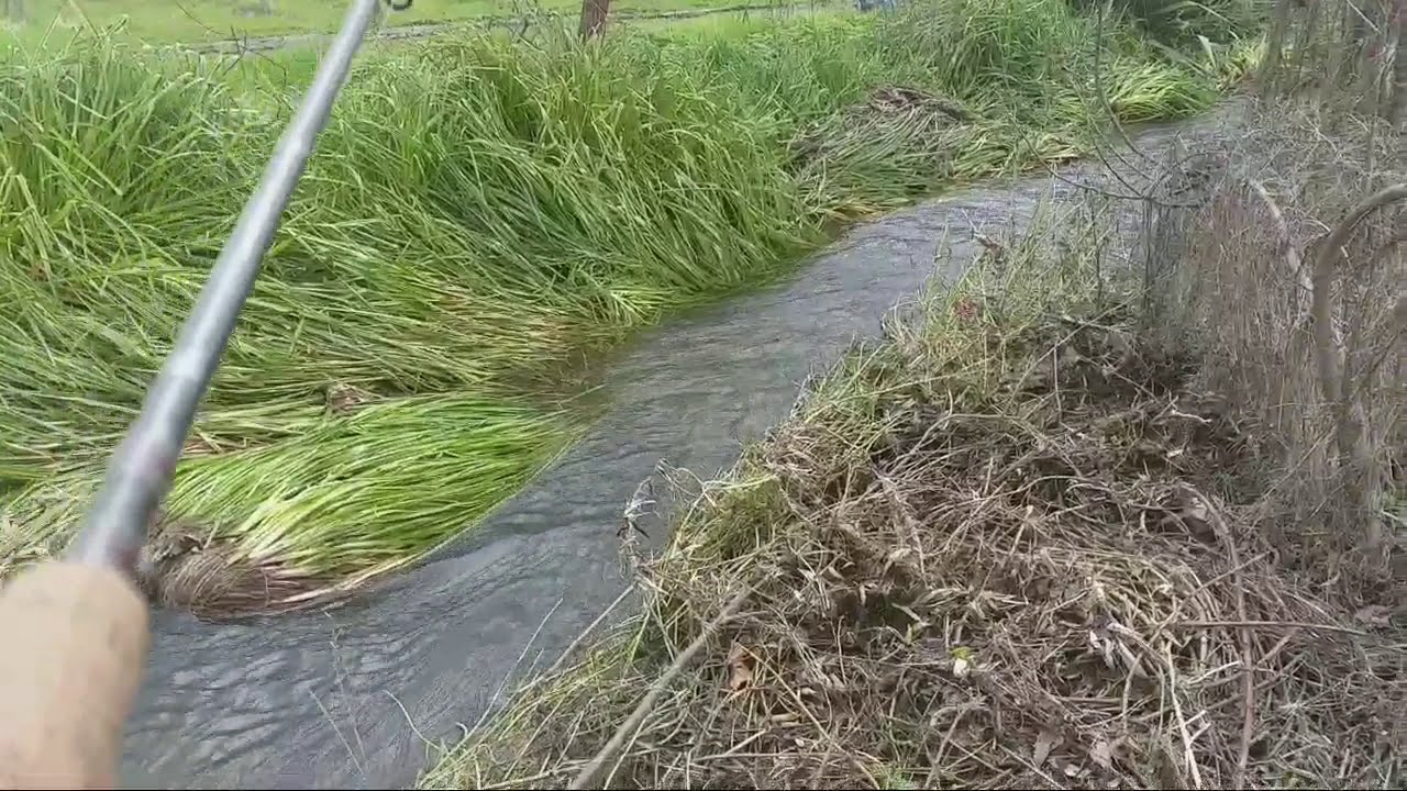 pesca con lombrices: aventuras AnzuelosDos chile🐕💯🎣❤