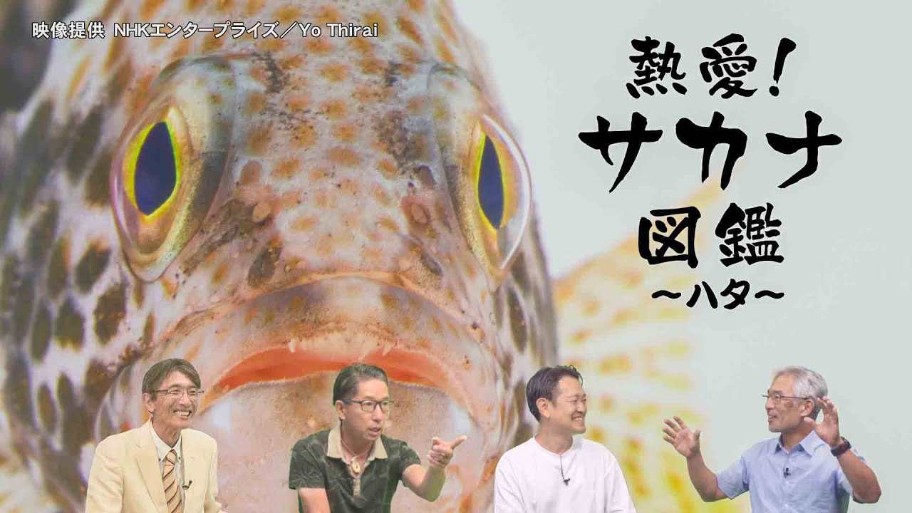YouTube_YiR9Q_t_96Aサムネイル
