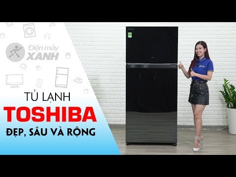 Tủ lạnh Toshiba: cỡ lớn, cửa mặt gương, có cấp đông mềm (GR-AG66VA) • Điện máy XANH