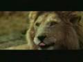Bad Day on Africa