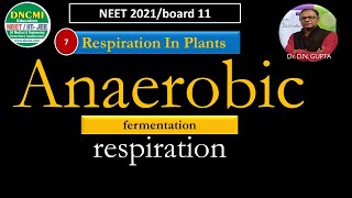 NEET/L-7/Fermentation In Anaerobic Respiration/Respiration In Plants/Class 11