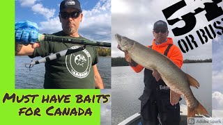 6 Musky Fishing Lures you need for Canada in '21 (Musky Lures 101 )