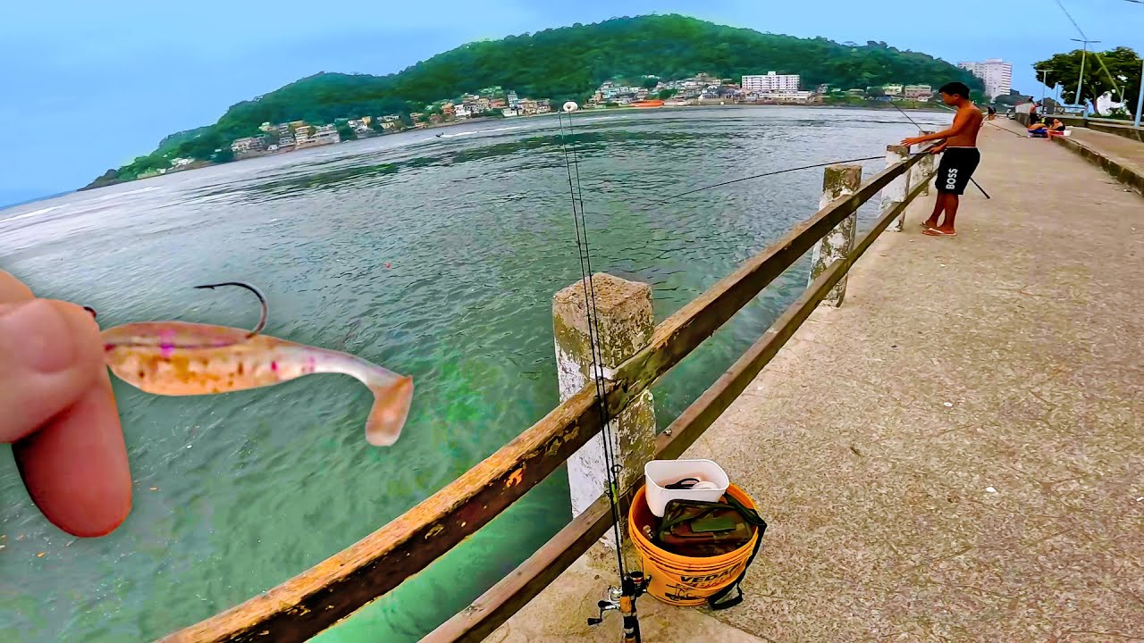 DE VOLTA ao DECK da PONTE PENSIL - Pescaria na Plataforma de São Vicente, com peixes e dicas