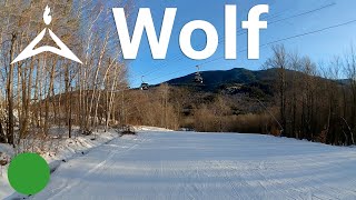 Whiteface Mountain - Wolf