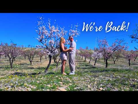 Life Got Busy, But We’re Back Building Again! | Ep. 21 | SPANISH FARMHOUSE RENOVATION