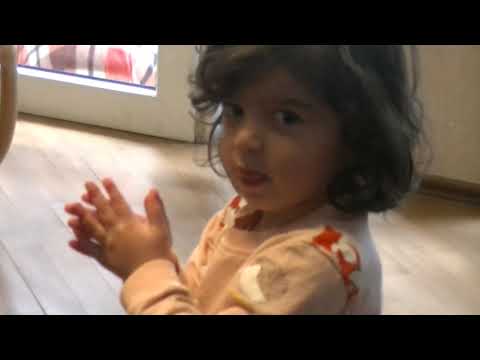 მეცადინეობა 4