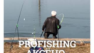 Аксено-Бутырки, Ногинск; ловля на удочку рыбалка profishing аксено бутырки Прогноз клёва рыбы в деревне Аксено-Бутырки