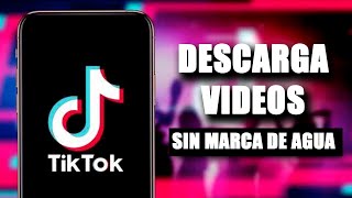 Descarga videos de Tiktok sin Marca de Agua desde tu PC