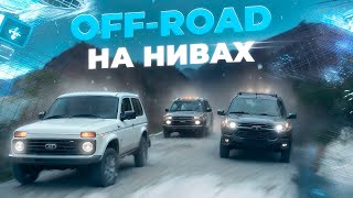 ПОСТАВИЛ РЕДКИЕ ДИСКИ НА ГРАНТУ / OFF- ROAD НА НИВАХ