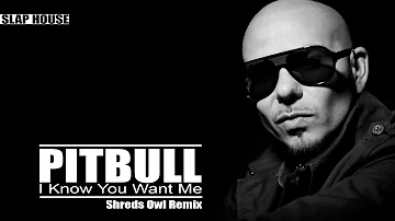 Pitbull - I Know You Want Me (Shreds Owl Remix)